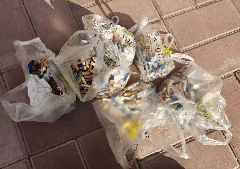 图片包含 食物, 桌子, 狗, 袋子 AI 生成的内容可能不正确。